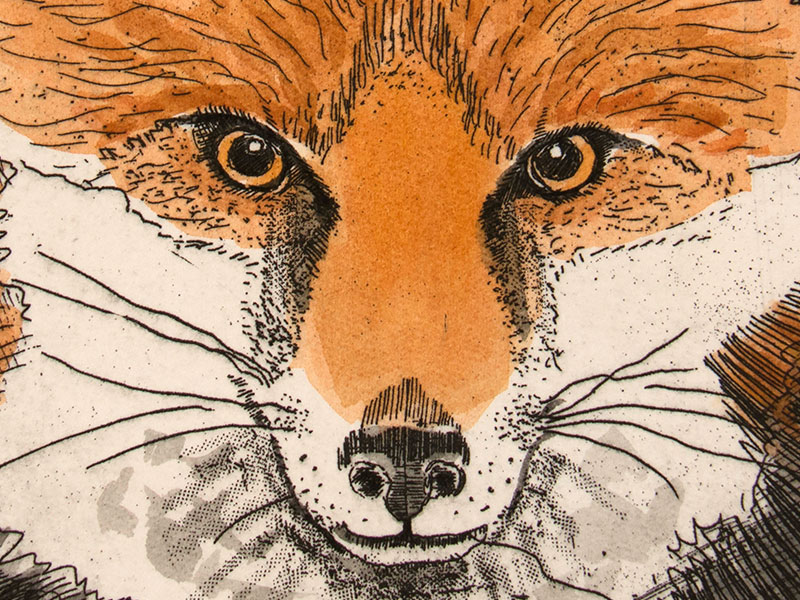 Fox (linocut), Greeting Card by Linda Richardson - Featured on Mobile Devices