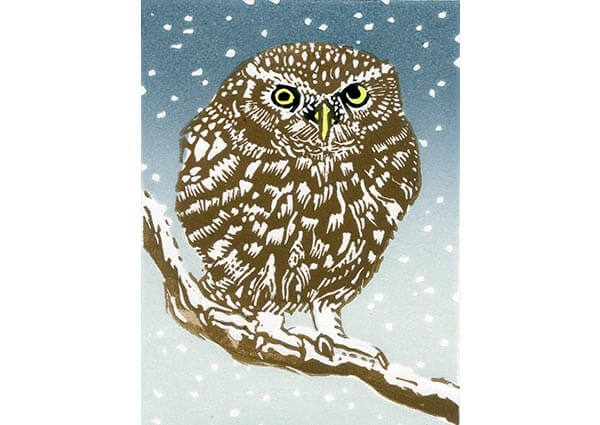 A Winter Perch, Greeting Card by Linda Richardson - Thumbnail