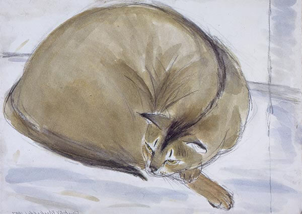 Abyssinian Cat, Greeting Card by Dame Elizabeth Blackadder - Thumbnail