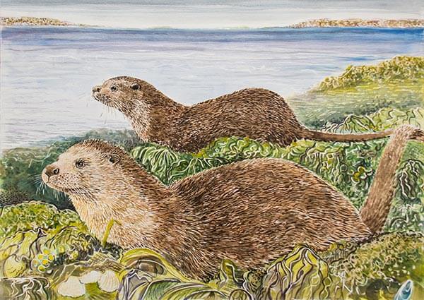 Otters Coming Ashore, Greeting Card by Linda Richardson - Thumbnail
