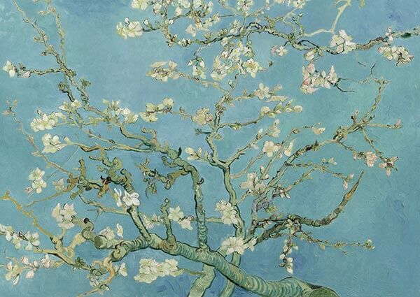 Almond Blossom, Greeting Card by Vincent Van Gogh - Thumbnail