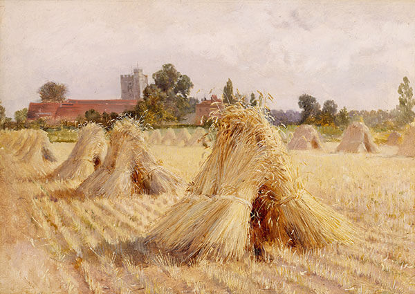 Corn Stooks by Bray Church, Greeting Card by Heywood Hardy - Thumbnail