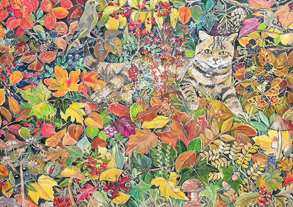 Tabby in Autumn, Greeting Card by Hilary Jones - Thumbnail