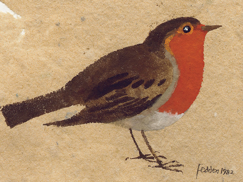 Robin, Greeting Card by Mary Fedden - Featured on Mobile Devices