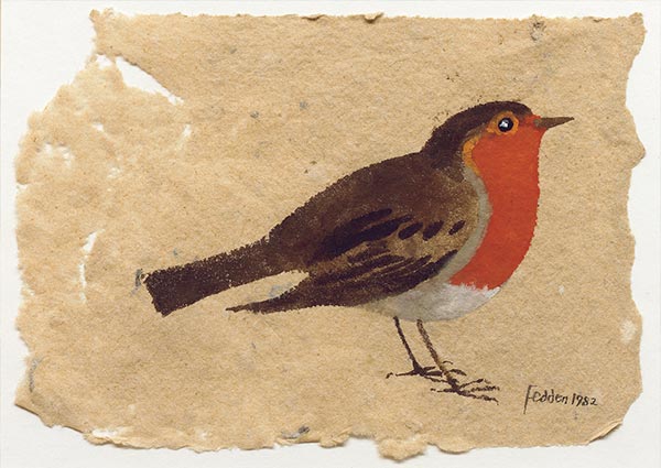 Robin, Greeting Card by Mary Fedden - Thumbnail