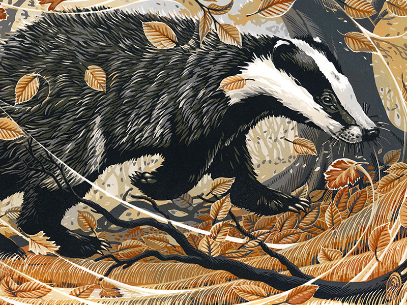 Blustery Day Badger, Greeting Card by Martin Truefitt-Baker - Featured on Mobile Devices