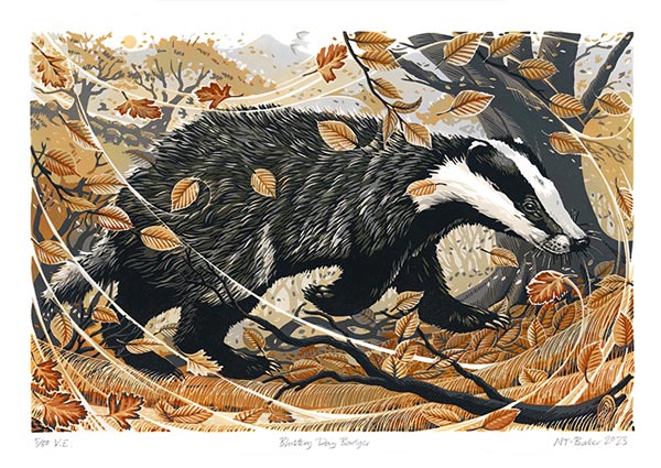 Blustery Day Badger, Greeting Card by Martin Truefitt-Baker - Thumbnail