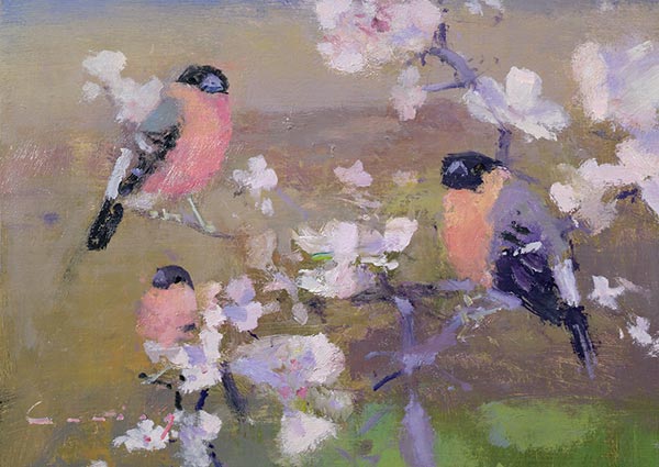 Bullfinches, Greeting Card by Fred Cuming - Thumbnail