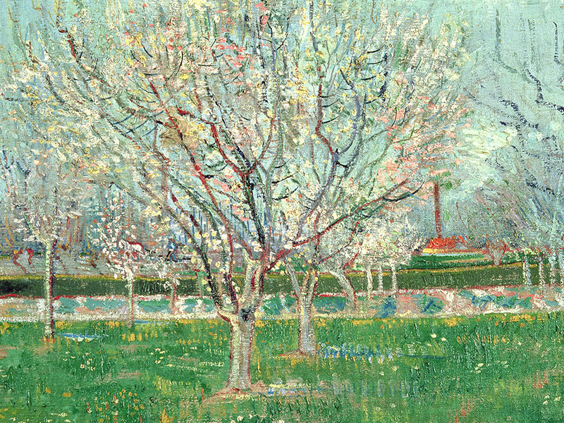 Vincent Van Gogh	Orchard in Blossom, Greeting Card by Vincent Van Gogh - Featured on Mobile Devices