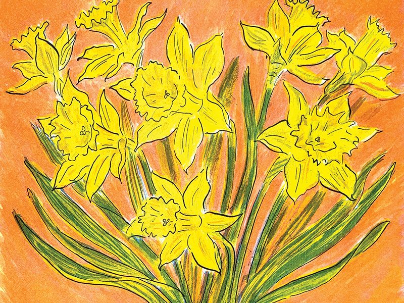 Daffodils, Greeting Card by Rachel Clark - Featured on Mobile Devices