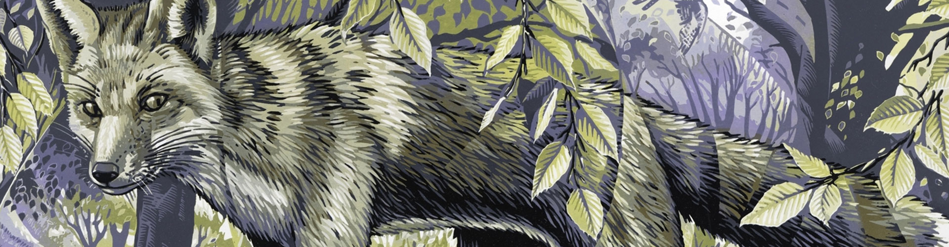 Bluebell Wood Fox, Greeting Card by Martin Truefitt-Baker - Featured on Desktop Devices