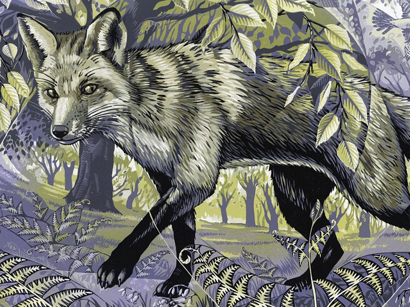 Bluebell Wood Fox, Greeting Card by Martin Truefitt-Baker - Featured on Mobile Devices