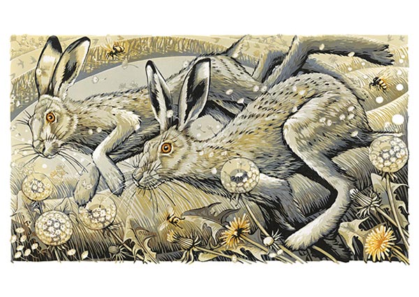 Golden Morning Hares, Greeting Card by Martin Truefitt-Baker - Thumbnail