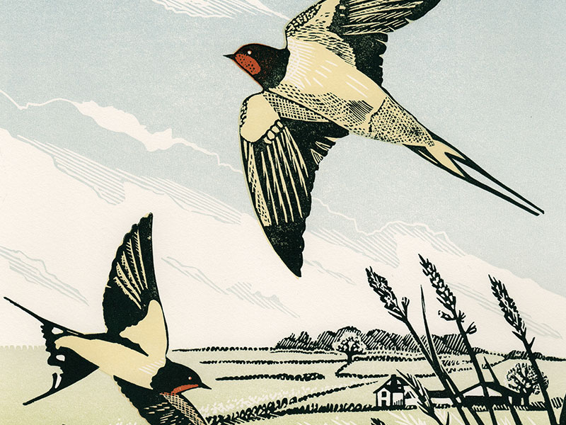 Flight, Greeting Card by Pam Grimmond - Featured on Mobile Devices