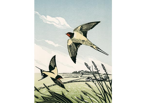 Flight, Greeting Card by Pam Grimmond - Thumbnail